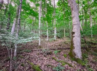 0 Route 15/19, Camden On Gauley, WV 26208