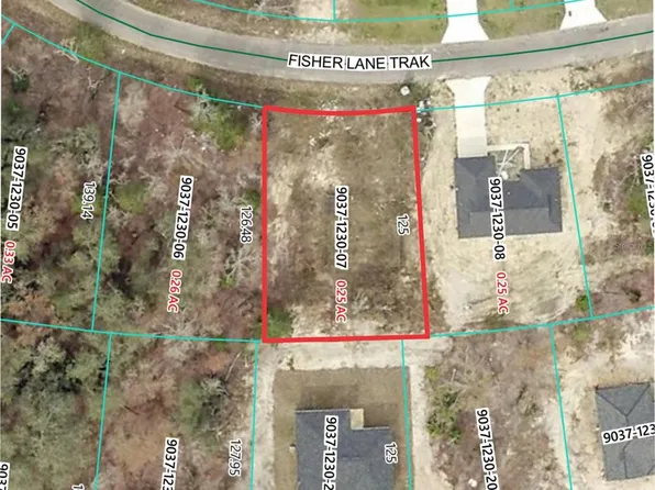 41 Fisher Lane Trak Lot 7, Ocklawaha, FL 32179