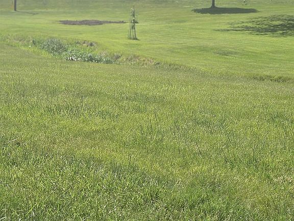 2nd image of 12729 Highway 149