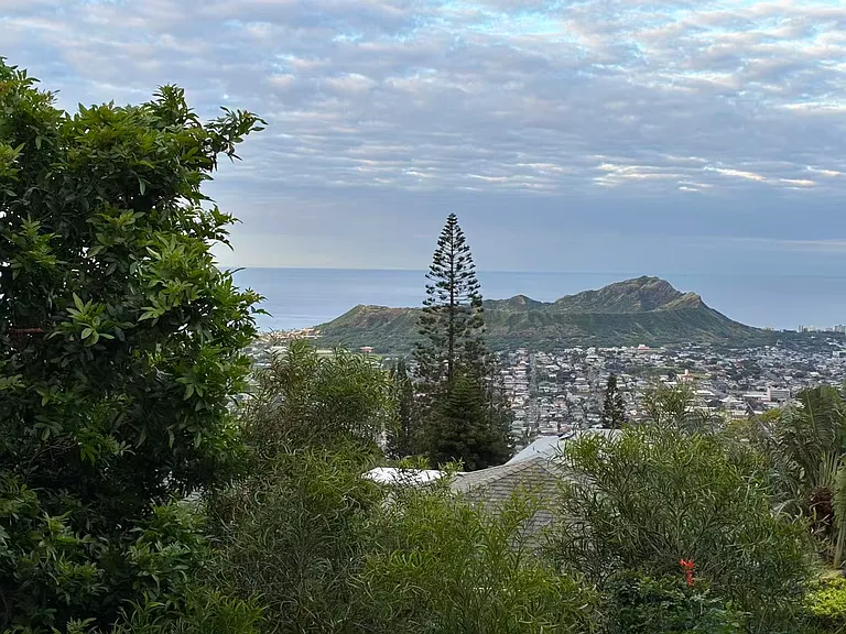 A little Ocean View
