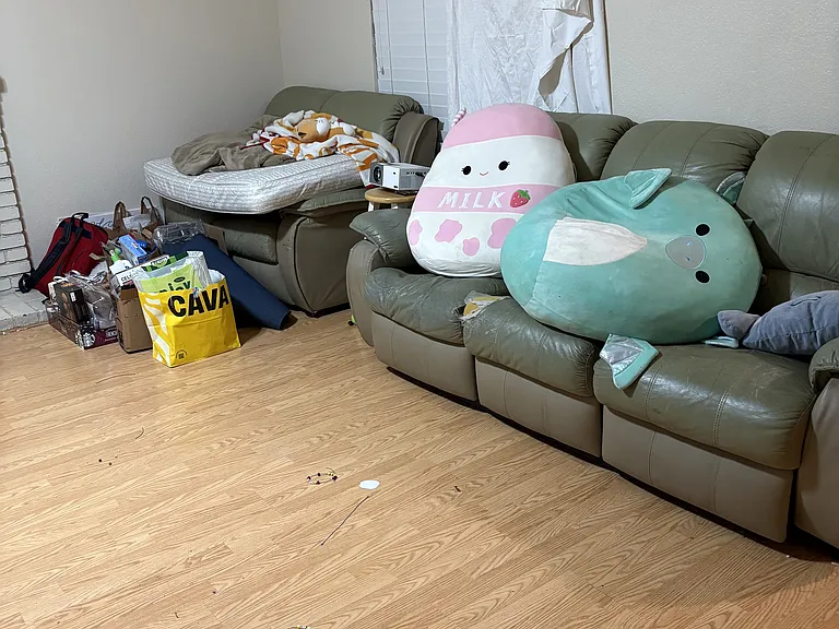 5057 Trojan Ct — Photo 21