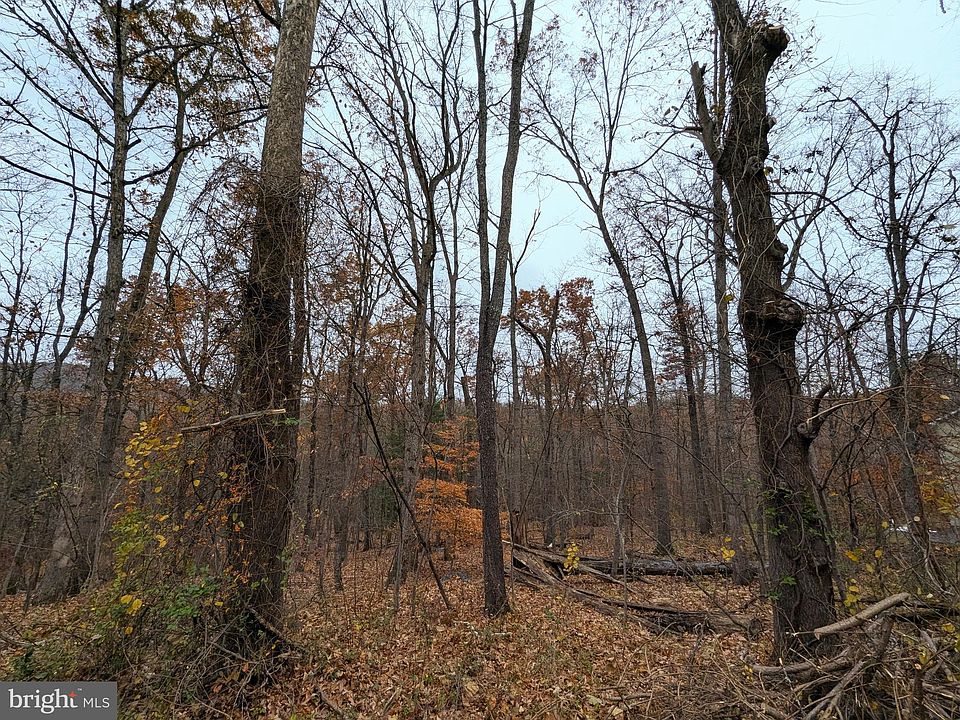2nd image of Grimes Golden Rd
