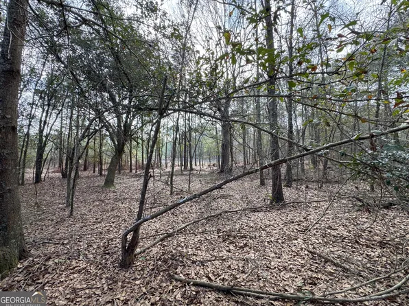 0 Whispering Pines Rd, Pelham, GA 31779