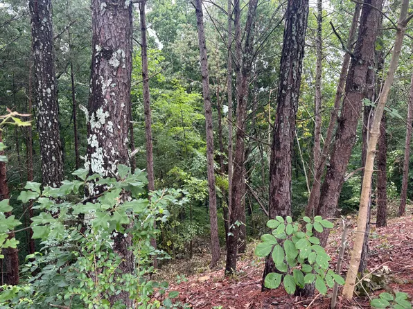 0 Benjamin Cir NW, Cleveland, TN 37312