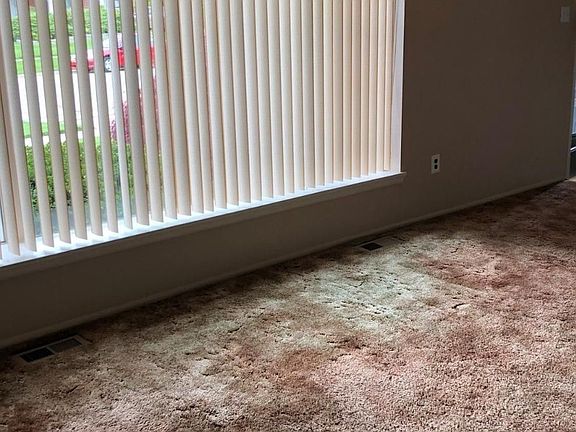 5th image of 1191 Georgina Dr
