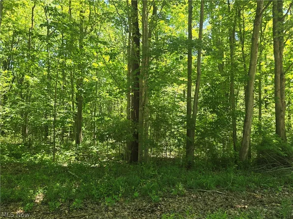 Shadyside Ave, Ashtabula, OH 44004