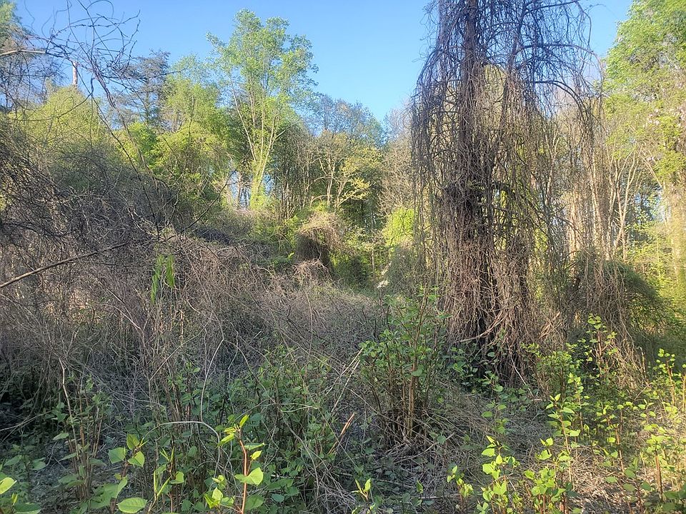 2nd image of 1021 Griggs Rd