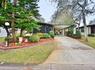39 Horseshoe Falls Dr, Ormond Beach, FL 32174