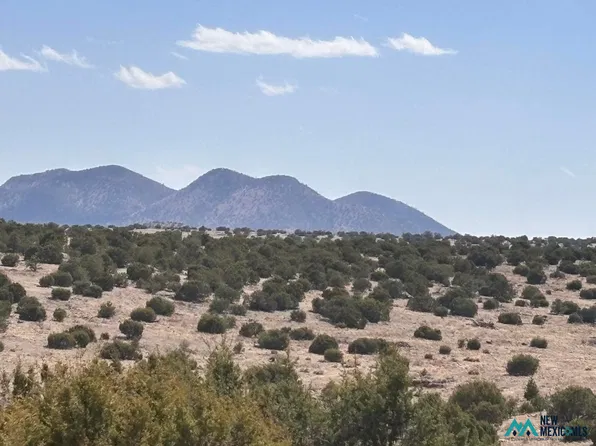 173 Pinon Springs Rd #173, Magdalena, NM 87825