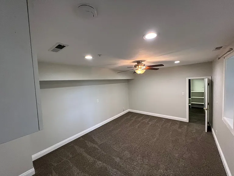 Lower level bedroom with closet