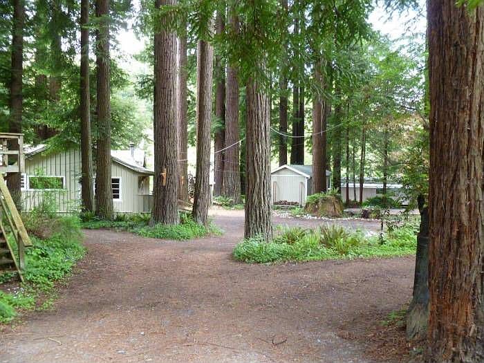 311 Church Ln, Carlotta, CA 95528 Zillow