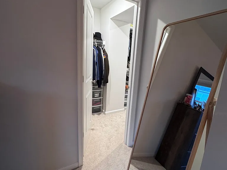 4959 Lexi Ln #1 — Photo 50