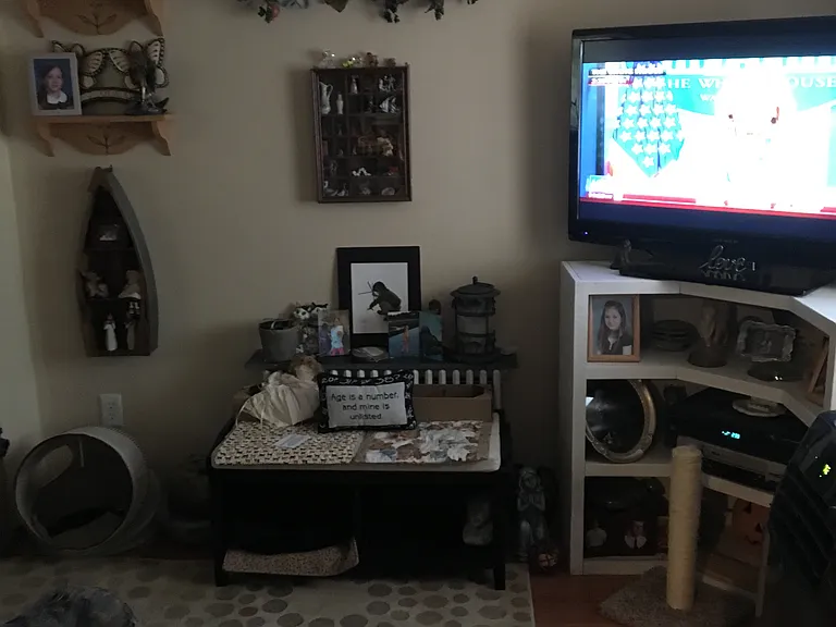50 Pleasant St #3 — Photo 8