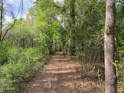 Beaver Damn, Lucedale, MS, 39452