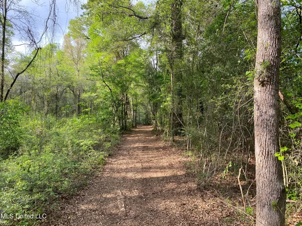 Beaver Damn, Lucedale, MS 39452