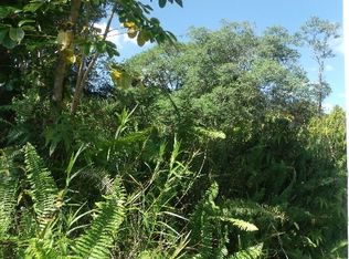 Ekika Rd LOT 414, Mountain View, HI 96771