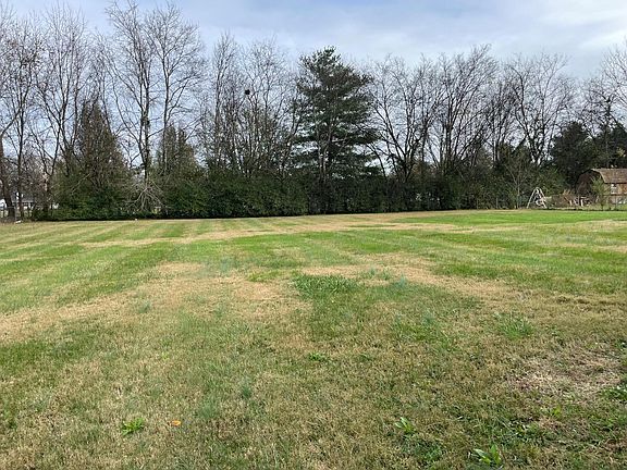 Backyard from wood deck