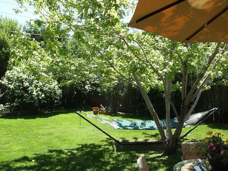 Lush, Large Back Yard