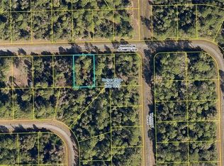 834 Harrison Schmitt Ter, Labelle, FL 33935