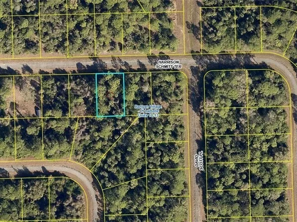 834 Harrison Schmitt Ter, Labelle, FL 33935