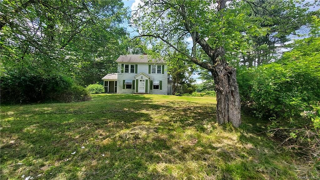 223 Horseshoe Lake Road, Swan Lake, NY 12783 Zillow