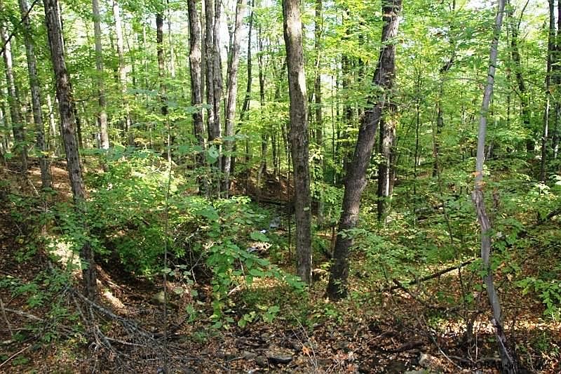 4th image of GOTT Road