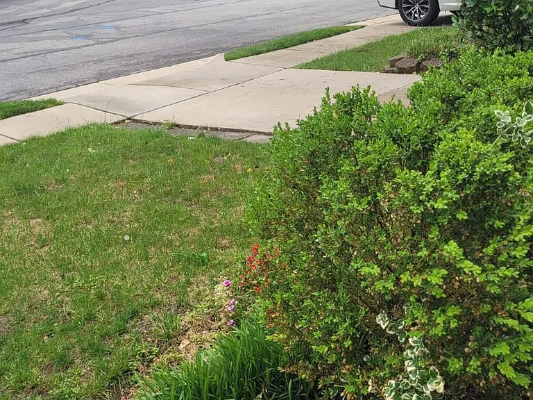2289 Wheel Cog Pl — Photo 21