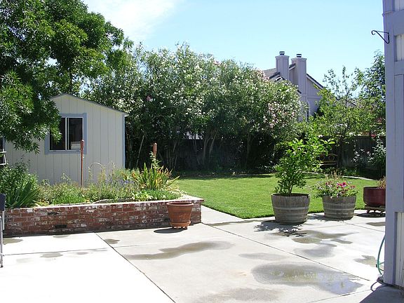 Back yard