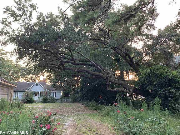 3rd image of 14933 Scenic Highway 98 #4