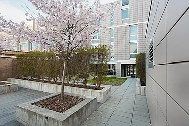 Rented by Bold New York