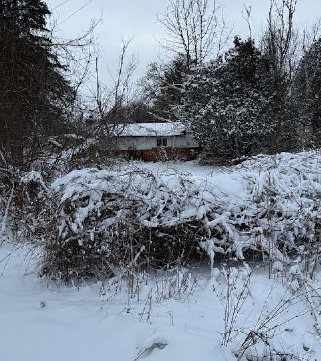 1st image of 26936 Kuchenmeister St