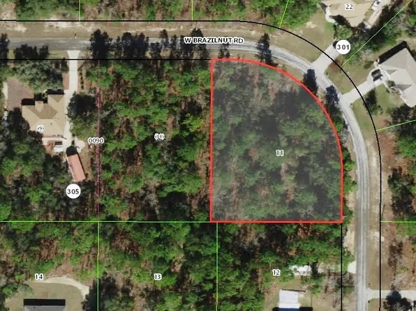 3070 W Brazilnut Rd, Beverly Hills, FL 34465