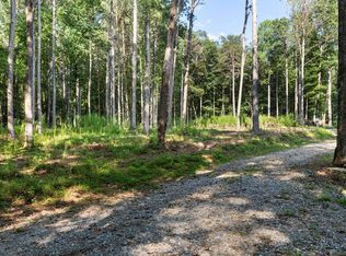 1080 Holt Rd, Ellijay, GA 30536