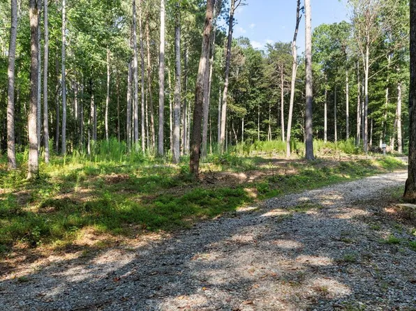 1080 Holt Rd, Ellijay, GA 30536