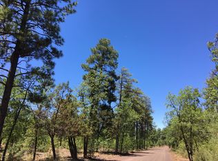 900 E Rim Rd, Pinetop, AZ 85935