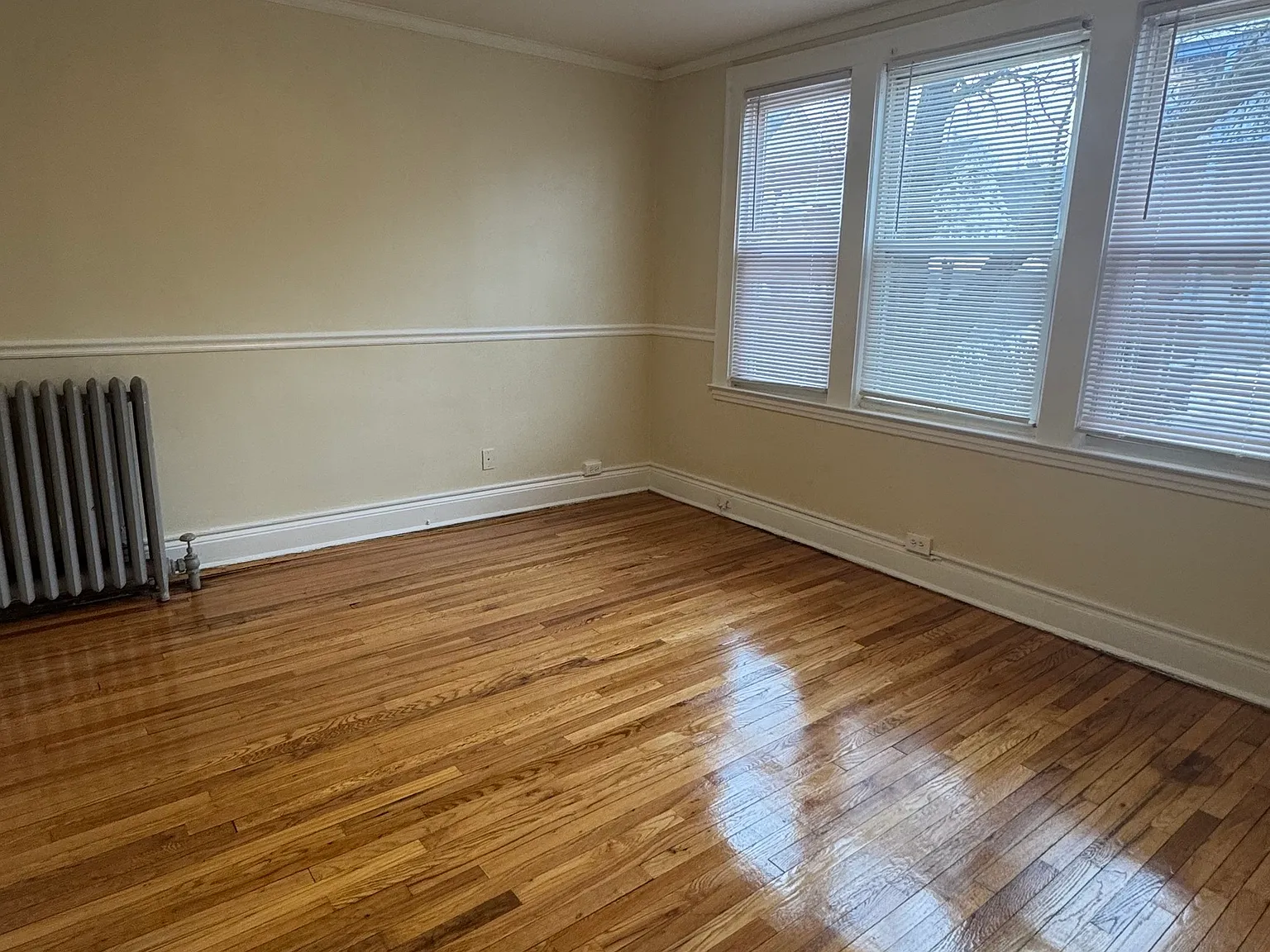 1 bed, 1.0 bath, 500 sqft, $1,250 — Photo 3