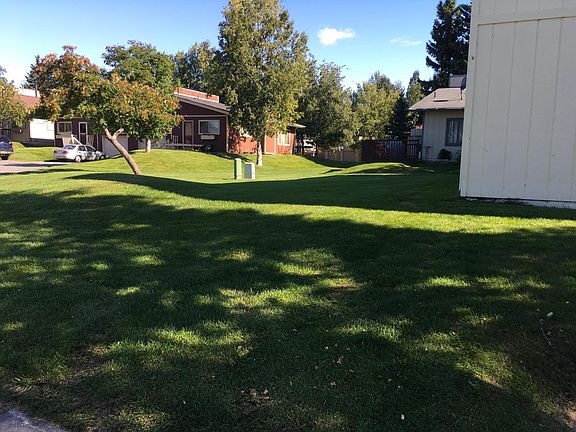 Common Front yard