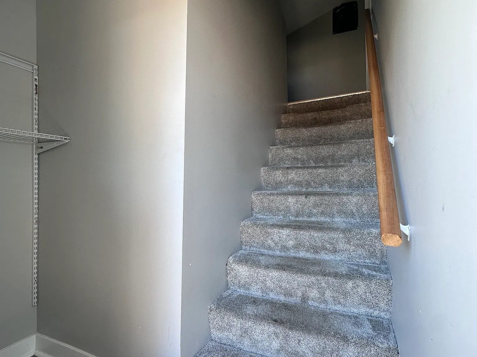 1 bed, $1,200 — Photo 2