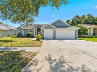 1115 Lumsden Trace Cir, Valrico, FL 33594
