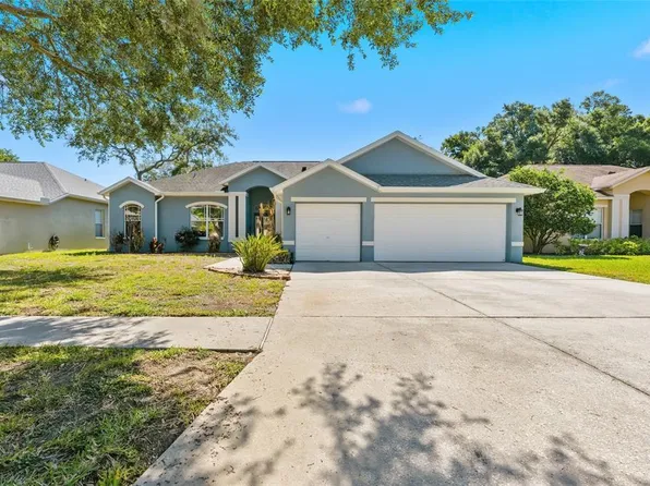 1115 Lumsden Trace Cir, Valrico, FL 33594