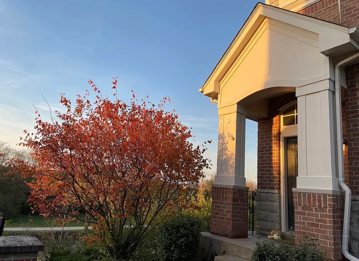 3 bed, 2.5 bath, 1728 sqft, $3,300 — Photo 2