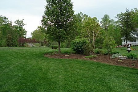 Front yard