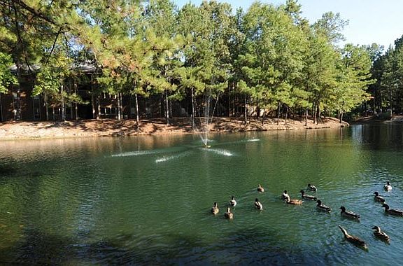 1 of the 3 Lakes on the property