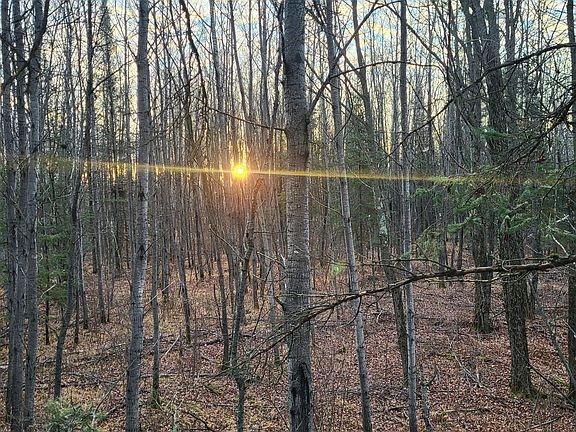 4th image of On Old 8 Rd W