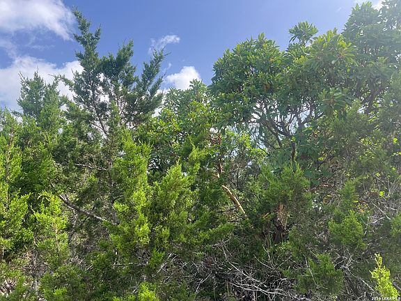 5th image of 268 SCENIC HILLS DR LOT 197