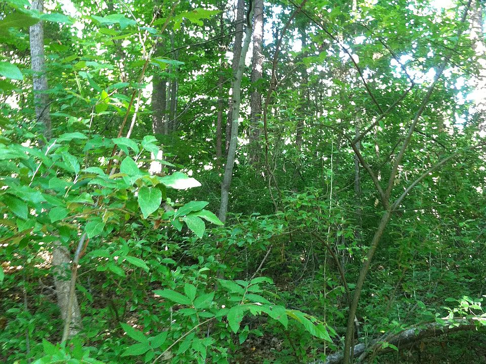 1st image of Lot 47 Catawba Cv #47