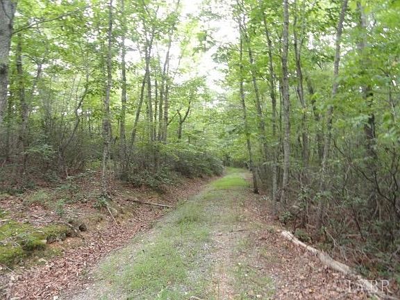 3rd image of 208 Leesville Lake Ct