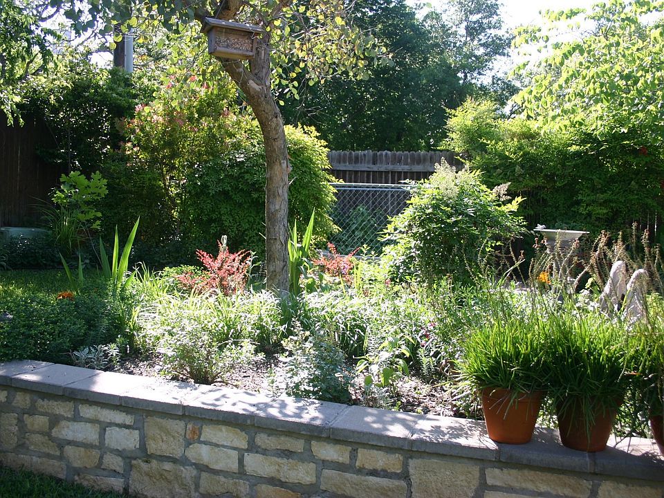 Back yard