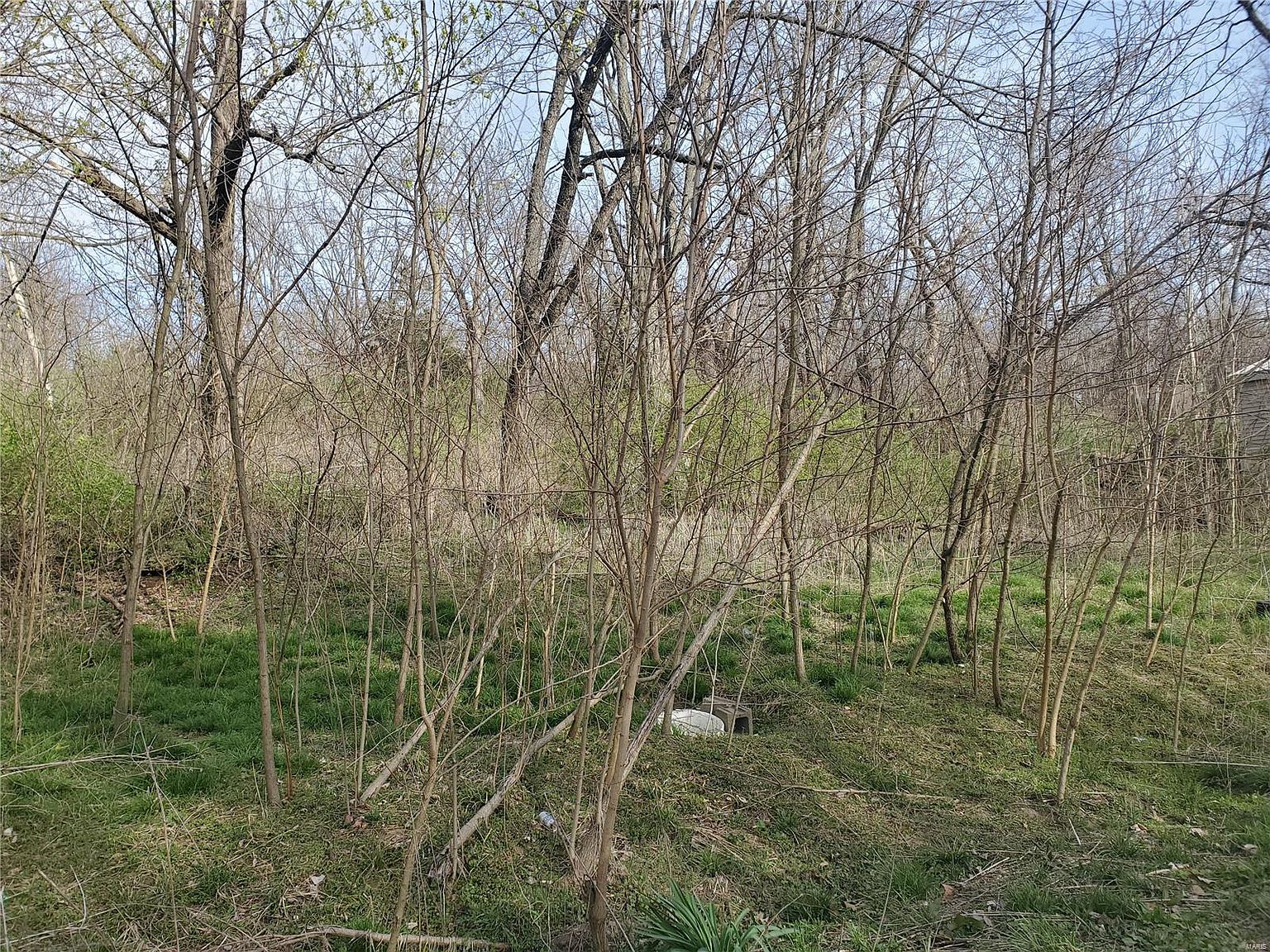 123 S Haw Creek Rd, Frankford, MO 63441 MLS 24018427 Zillow