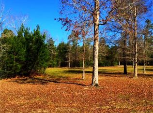 272 Ridge Lake Dr, Montgomery, TX 77316